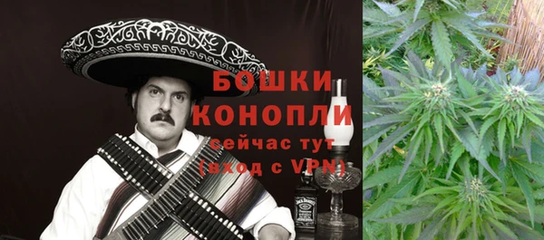 mdma Новозыбков