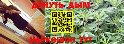шишки Гусь-Хрустальный