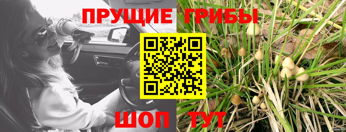 Галлюциногенные грибы мухоморы  Иваново 