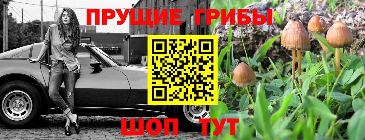 Иваново  Псилоцибиновые грибы мицелий  Галлюциногенные грибы мухоморы  Вход с VPN 