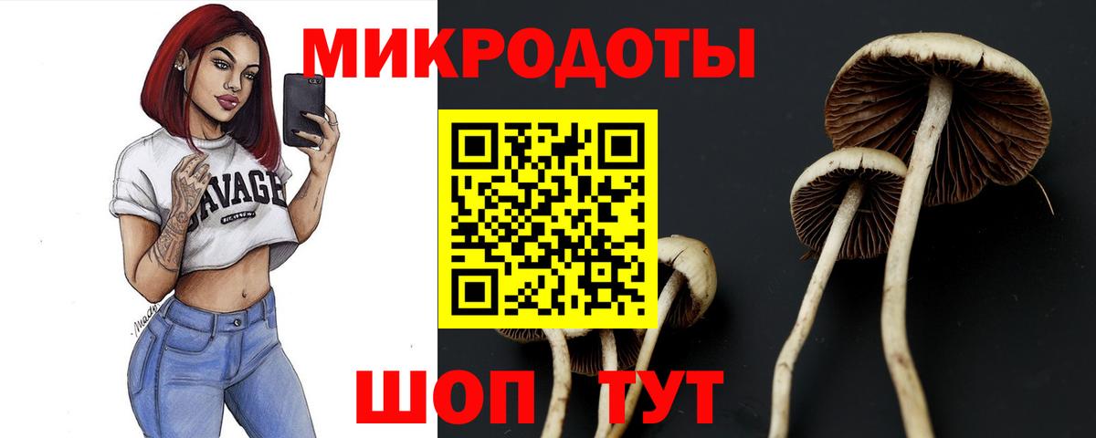 Псилоцибиновые грибы Psilocybine cubensis Иваново